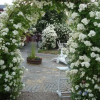 Отель Nya Stan Bed & Breakfast, фото 14