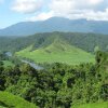 Отель Daintree Riverview Lodges, фото 3