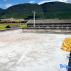Отель Jianchuan Liuxi Homestay, фото 19