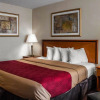 Отель Econo Lodge Southwest, фото 3