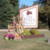 Отель The Pines Cottage Resort, фото 1