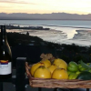 Отель A Culinary Experience Luxury Bed And Breakfast, фото 23