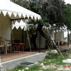 Отель TIH Royal Desert Camp, фото 10