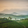 Отель Grassroots Wayanad, Valley-view Tents, фото 4