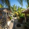 Отель Caribbean Beach Cabanas - A PUR Hotel, фото 1