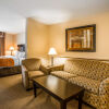 Отель Comfort Suites, фото 4
