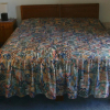 Отель Pine Wood Guest House, фото 1