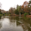 Отель Beautiful house with two bathrooms on a holiday park near Baarle-Nassau, фото 13
