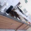 Отель Central Rosário, фото 4