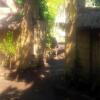 Отель Homestay Baleku Trawangan, фото 4