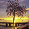 Отель Villa Dalmatia, фото 12