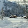 Отель Charming Chalet in Hinterthal With Sauna, фото 16