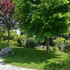 Отель Il Giardino del Tiglio, фото 9