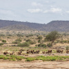 Отель Sentrim Tsavo Lodge, фото 8