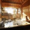 Отель Shinshu Shimosuwa Onsen Gingetsu, фото 14