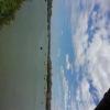 Отель Pon's River Guesthouse, фото 10