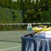 Sports