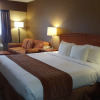 Отель Econo Lodge Inn & Suites, фото 26