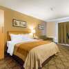 Отель Comfort Inn New Glasgow, фото 20