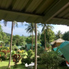 Отель tp hut bungalows, фото 11
