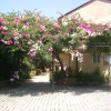 Отель Dalyan Pension, фото 21