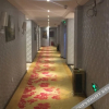 Отель Sunshine Hotel, фото 6