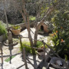 Отель Villa Mercado de Sineu, фото 5