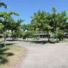 Отель Paraiso Tropical Apartamentos e Camping, фото 45