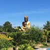 Отель Buddha Resort by Cocotel, фото 32