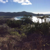 Отель Hicks Bay Motel Lodge, фото 15
