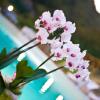 Отель Agriturismo Ca Montioni, фото 13
