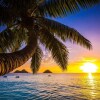 Отель Kuhio Village Studio With Balcony 2 Blocks to Beach Studio Bedroom Hotel Room, фото 11