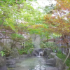 Отель Gujo Kogen Hotel, фото 15
