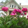 Отель Linchens Bed and Breakfast, фото 1