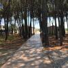 Отель Residence Giglio di mare 1 -Sellia Marina, фото 8