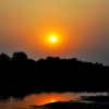 Отель Chitwan Paradise Hotel, фото 9
