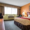 Отель Econo Lodge & Suites Southern Pines, фото 4