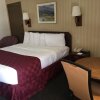Отель Americas Best Value Inn & Suites - Fort Collins East / I-25, фото 3