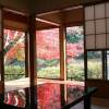 Отель Akigawa Valley Inn Kinkoukaku, фото 10