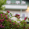 Отель Gartenhotel Salzach, фото 11