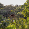 Отель El Refugio de Sayulita - Health and Wellness House, фото 26