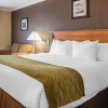 Отель Comfort Inn Brockville, фото 25