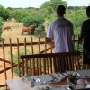 Отель Manyatta Camp, фото 19