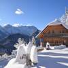 Отель Alpine Dream Chalet With Private Ski Lift, фото 16