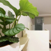 Отель Vivaverona Rooms, фото 17