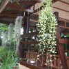 Отель Baan Suan Mai Ngam Resort в Nan