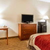 Отель Quality Inn & Suites, фото 5