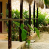Отель Casa de Las Tortugas I Tour Akumal, фото 16