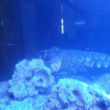 Отель Hostal Hispalis, фото 15