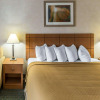 Отель Quality Inn at Collins Road - Cedar Rapids, фото 6